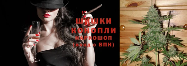 ПСИЛОЦИБИНОВЫЕ ГРИБЫ Лихославль