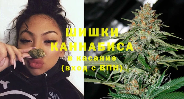 прущие грибы Алапаевск