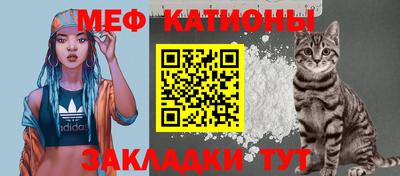 хмурый Кингисепп