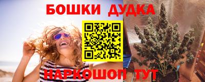 хмурый Кингисепп